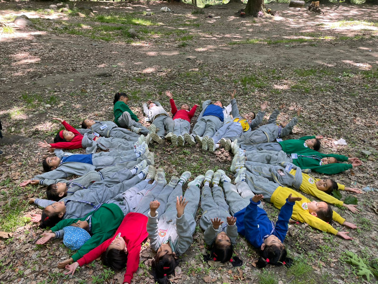 Class Picnic